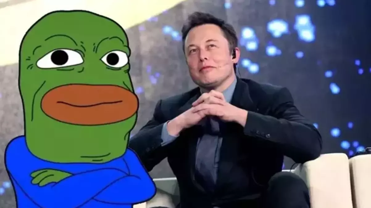 PEPE coin Musk rüzgarıyla hareketlendi! Yükseliş geçici mi kalıcı mı?